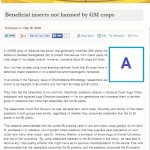 Beneficial insects not harmed by GM crops